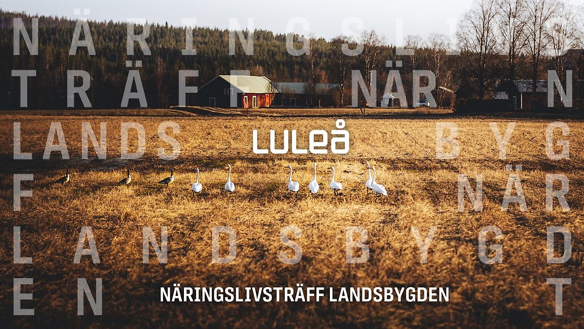Landsbygdsträff